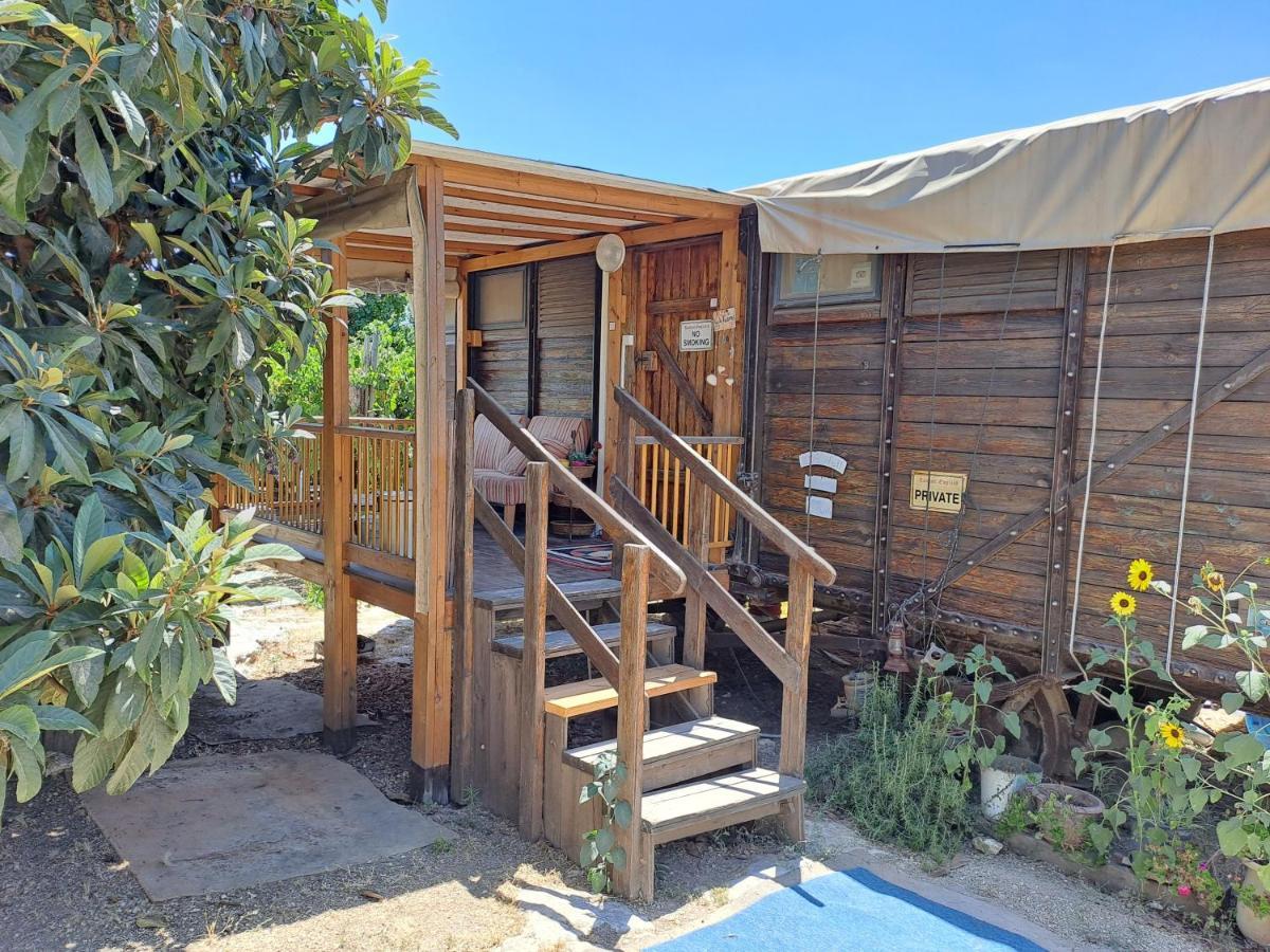 Galilee Bedouin Camplodge Tabash ภายนอก รูปภาพ