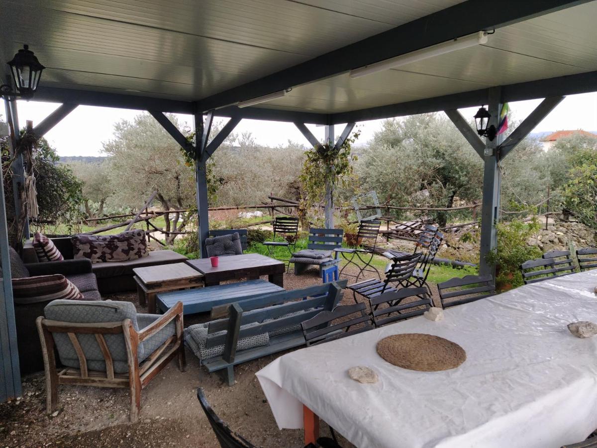Galilee Bedouin Camplodge Tabash ภายนอก รูปภาพ