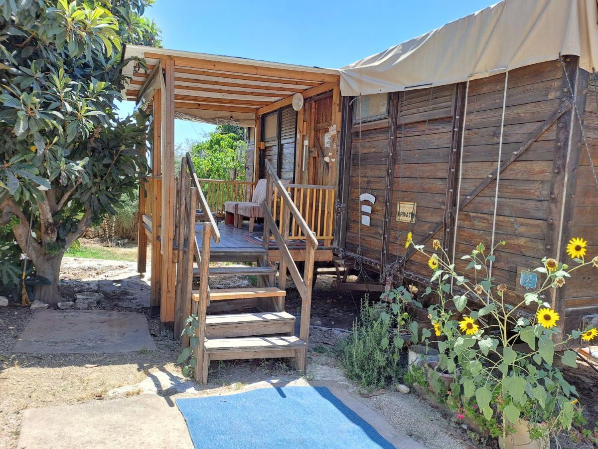 Galilee Bedouin Camplodge Tabash ภายนอก รูปภาพ