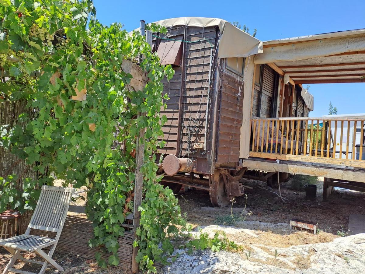 Galilee Bedouin Camplodge Tabash ภายนอก รูปภาพ