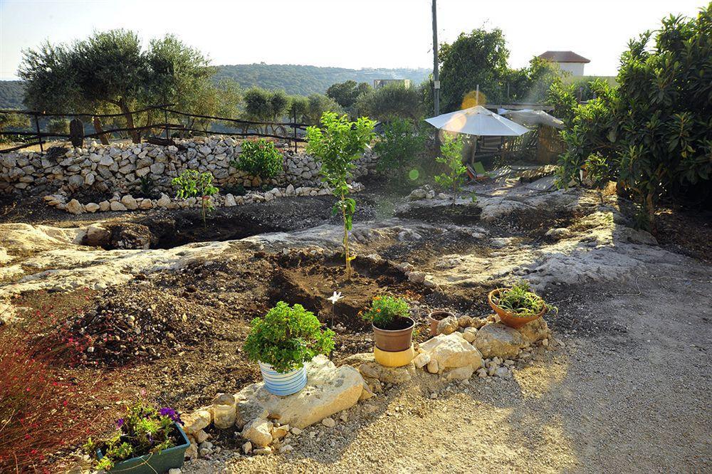 Galilee Bedouin Camplodge Tabash ภายนอก รูปภาพ