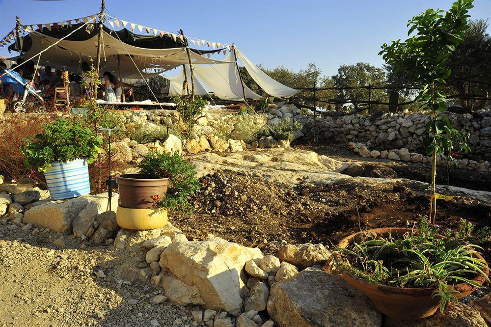 Galilee Bedouin Camplodge Tabash ภายนอก รูปภาพ