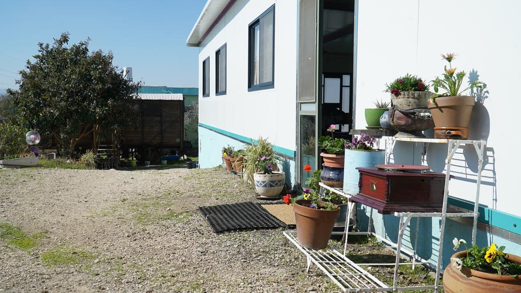 Galilee Bedouin Camplodge Tabash ภายนอก รูปภาพ